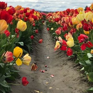 Meet your Posher, Brandi